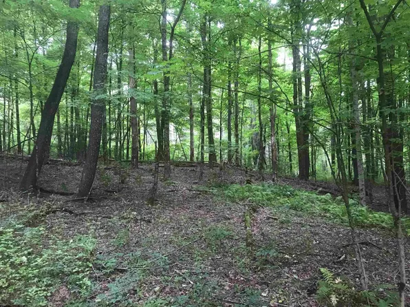 Arthur Rd, Reedsville, WV 26547