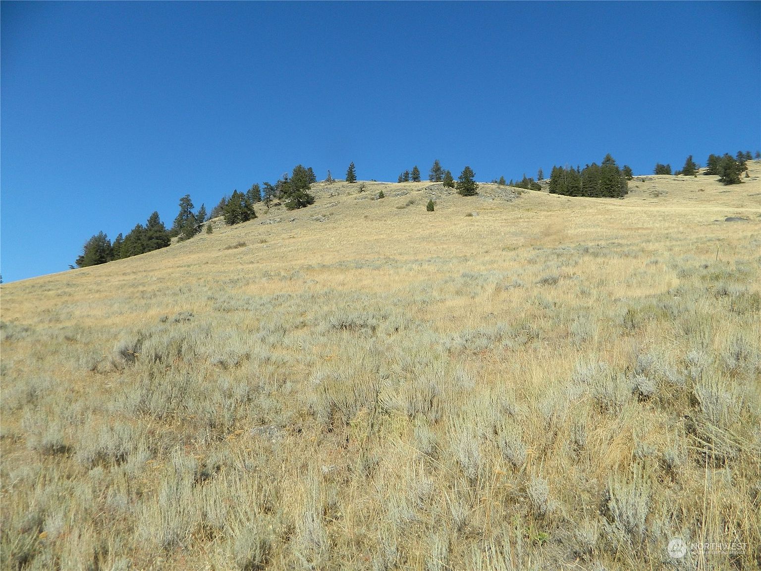 111 TBD One Sky View Drive, Tonasket, WA 98855 MLS 2057787 Zillow