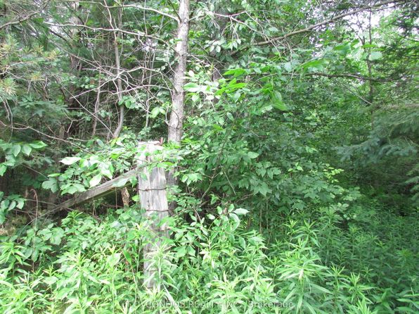 19633 Highway 48, East Gwillimbury, ON L0G 1M0