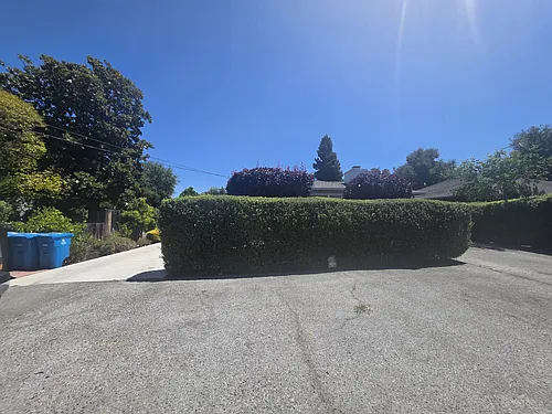 117 Oakwood Dr Photo 1