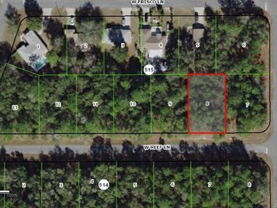 95 W Reef Ln, Citrus Springs, FL, 34434