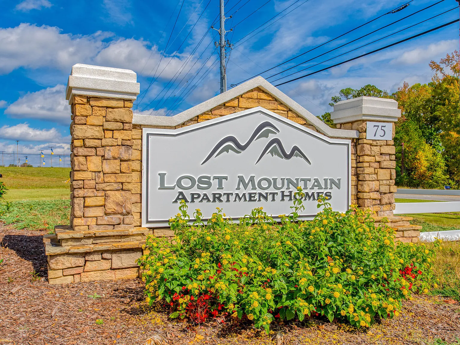 Lost Mountain — Photo 3