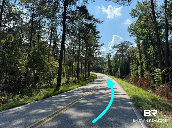 13850 Tallahatta Springs Rd, Thomasville, AL 36784