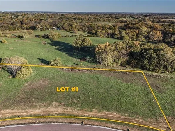 LOT 1 Travis Ln, Harrisonville, MO 64701