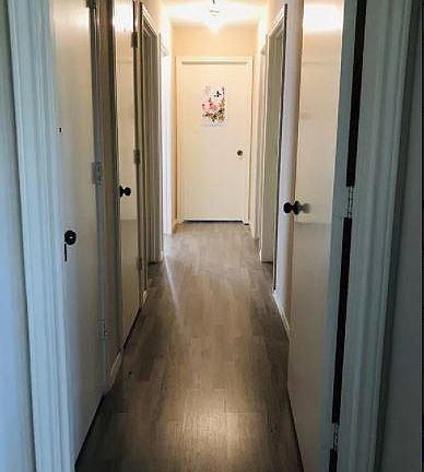 3rd image of 2413 Primrose Dr