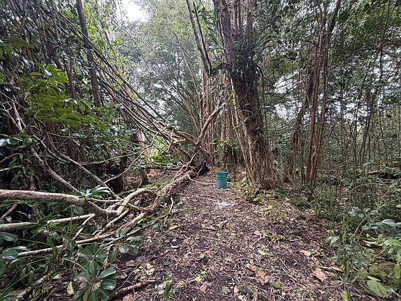 5th image of Pahoa Rd Lot 1310-A