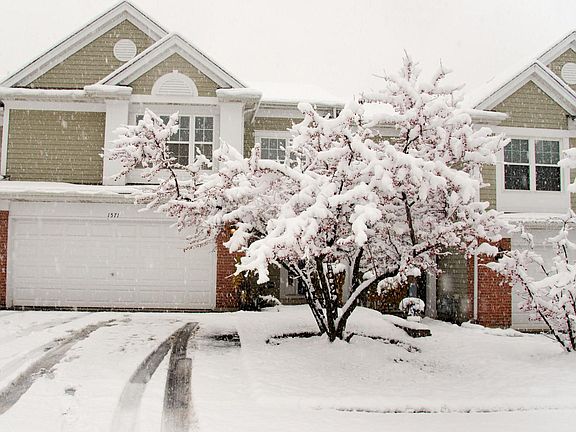 5th image of 1571 E Citadel Ct