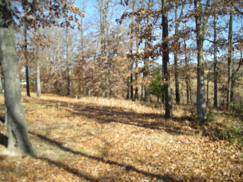 2nd image of 4 Mawnan Ln