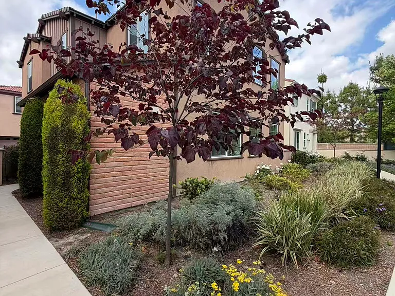 7169 Montecito Ln — Photo 6