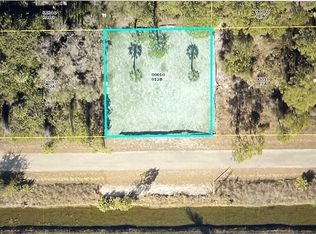 3203 E 20th St, Alva, FL 33920