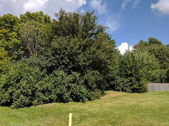 2nd image of 3N685 Kenwood Ave