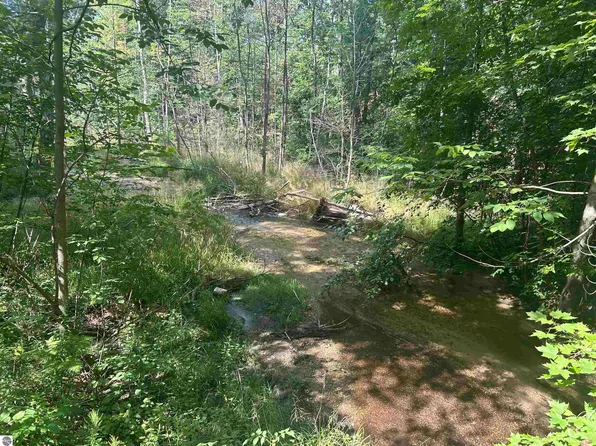 PARCEL 2 S M 88 Hwy, Bellaire, MI 49615