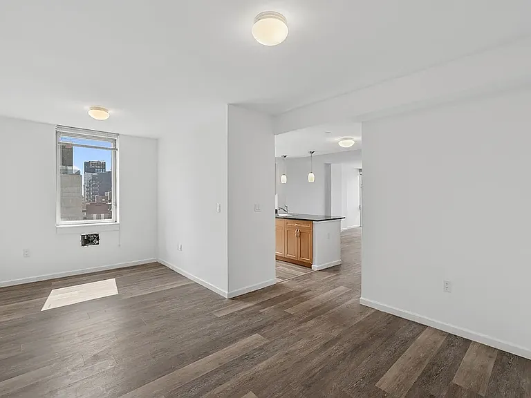 229 Chrystie St #811-3 — Photo 5