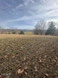 1003 Borowood Ct, Jonesborough, TN, 37659
