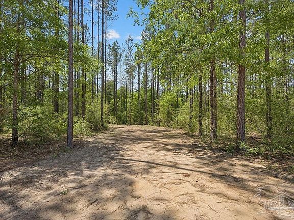 2nd image of 11.42 Acres Edge Forest Way