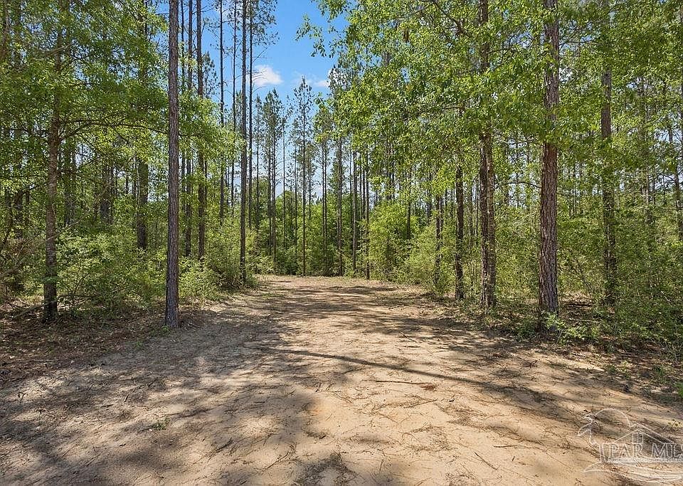 1st image of 11.42 Acres Edge Forest Way