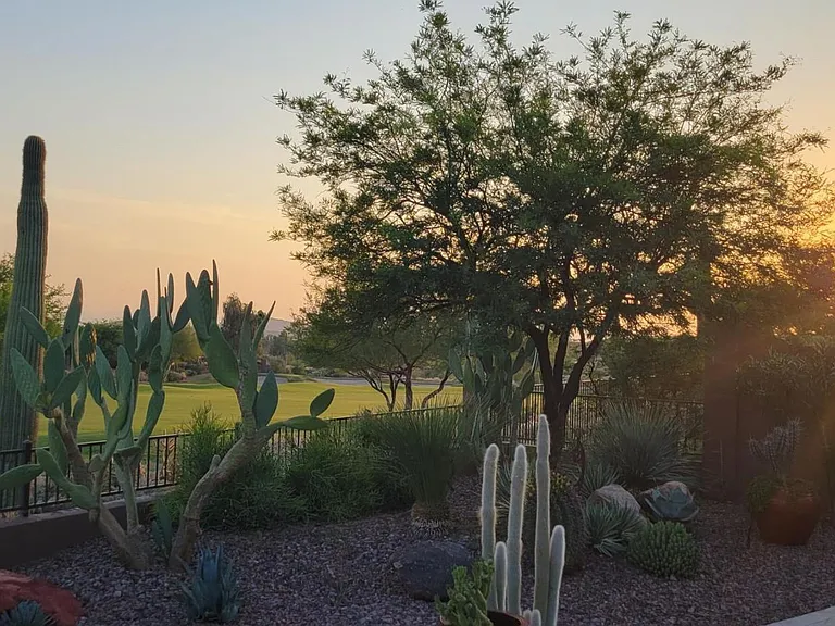 2519 W Myopia Dr — Photo 5