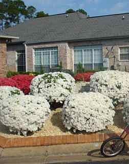 2nd image of 1407 Champions Green Dr