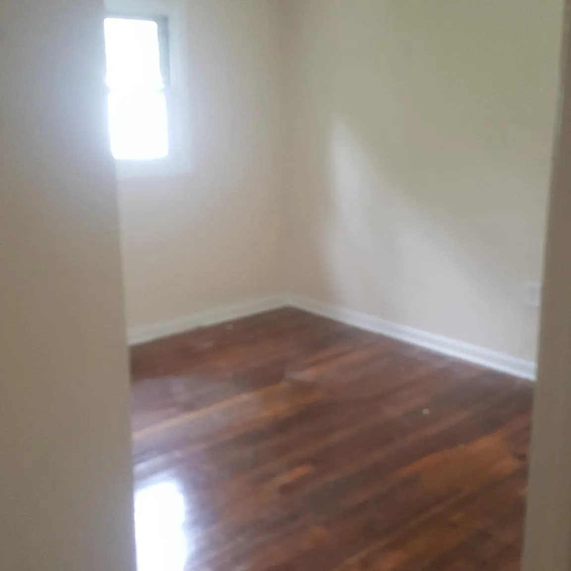 3 bed, 800 sqft, $1,450 — Photo 3