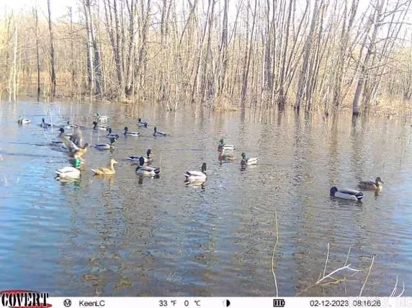 0 Craighead Rd #876, Lake City, AR 72437