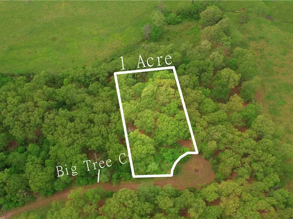 43 Big Tree Ct #43, Elizabeth, AR 72531