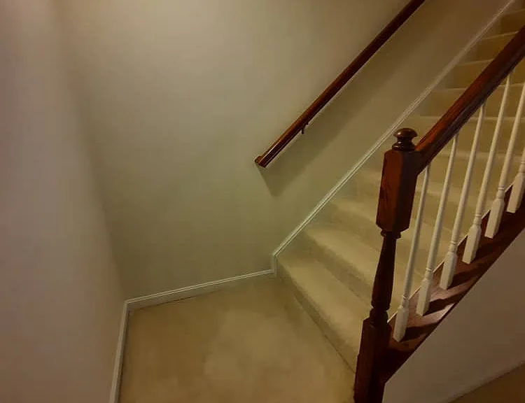 Finished Basement