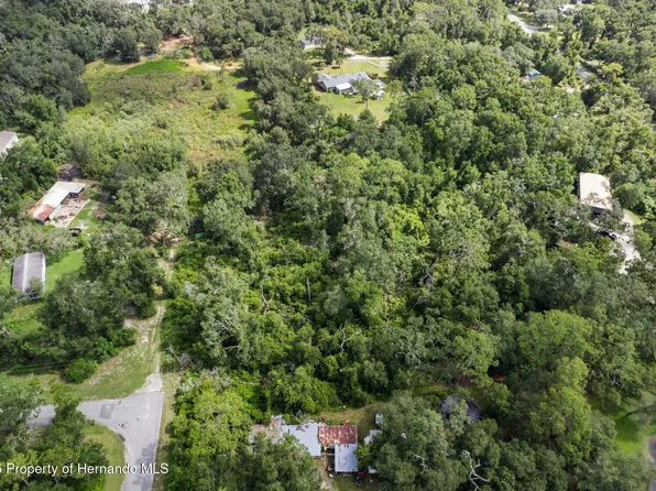0 County Road 683d #1, Webster, FL 33597