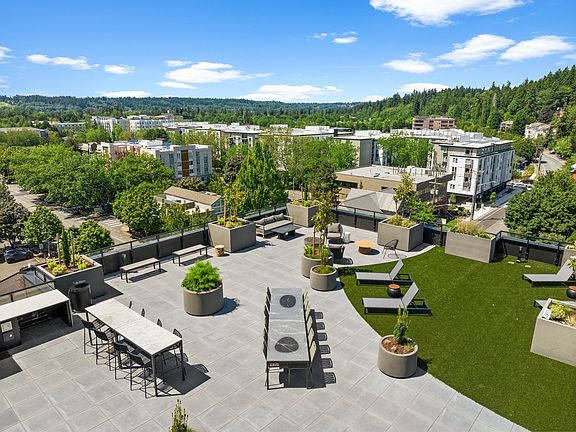 Surveying Serenity: A Bird's Eye View of Our Rooftop Paradise!