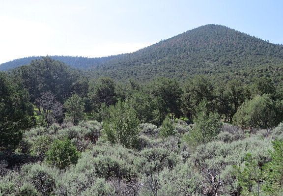 4th image of 111 Taos Valley