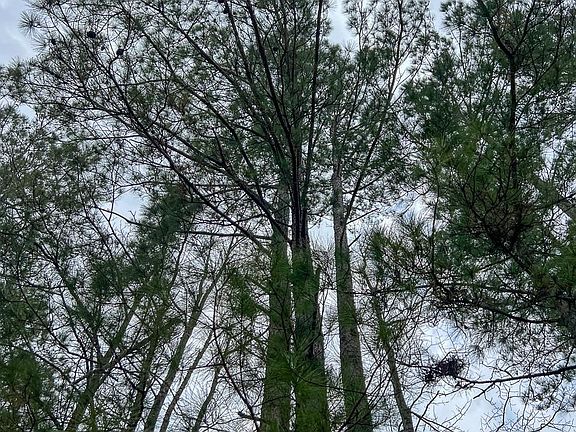 5th image of 1 Union Springs Rd