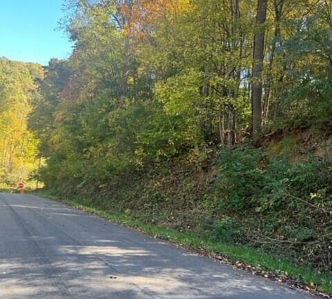 4th image of 0 Cave Springs Elytown Rd