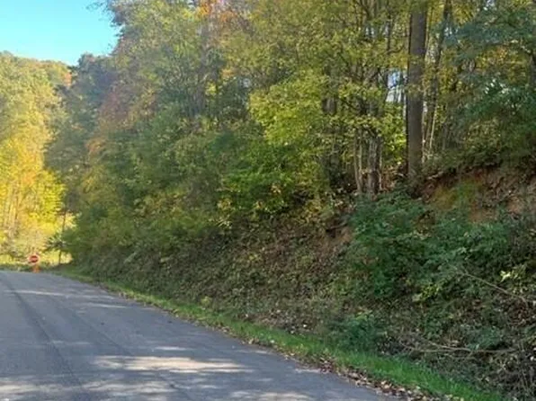 0 Cave Springs Rd, Dryden, VA 24243