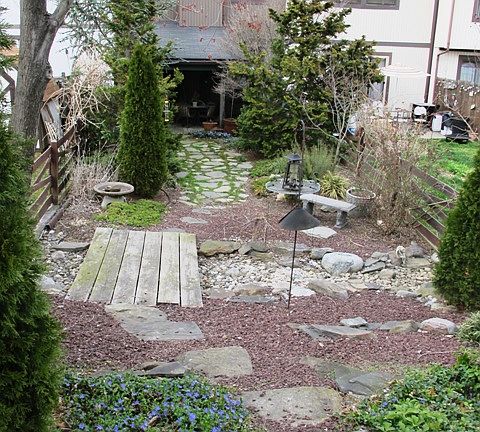 Low Maintenance Shrubs