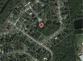 107 Big Branch Trc, Brunswick, GA 31523
