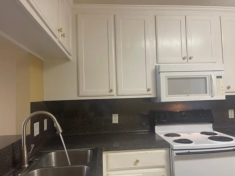 1008 Sun Meadow Ct — Photo 5