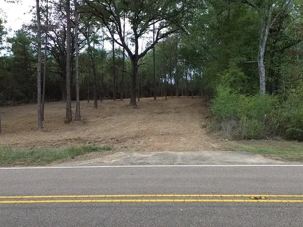 TRACT Highway 43 #B, Greensburg, LA 70441