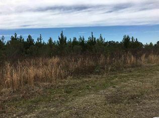 751 S Deerfield Rd, Johnsonville, SC 29555