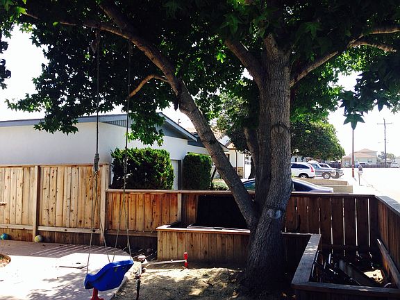 Tree with SandBox/Sitting area in Front