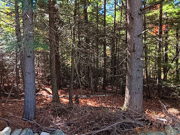 2nd image of 20-46 Dole School House Road