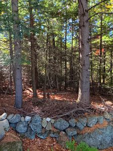 20-46 Dole School House Road, Washington, NH, 03280