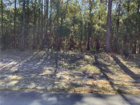 SW 89th Cir, Ocala, FL 34473