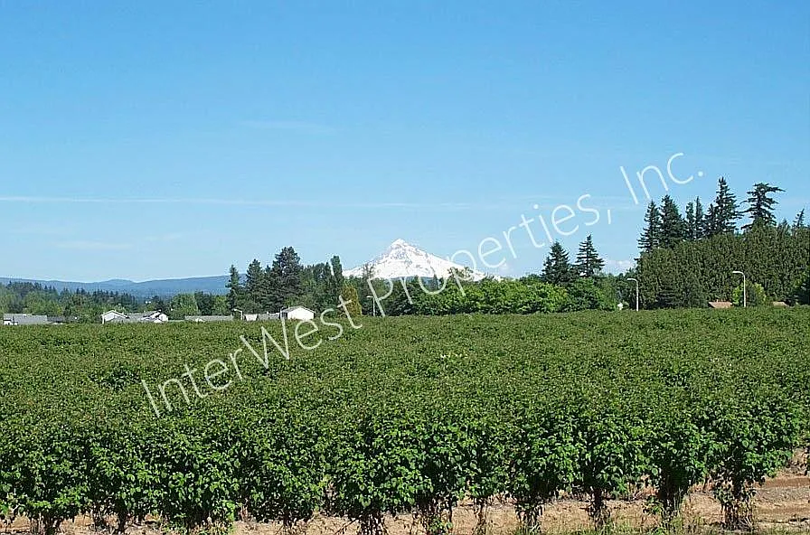 2 bed, 2.5 bath, 974 sqft, $1,825 — Photo 3