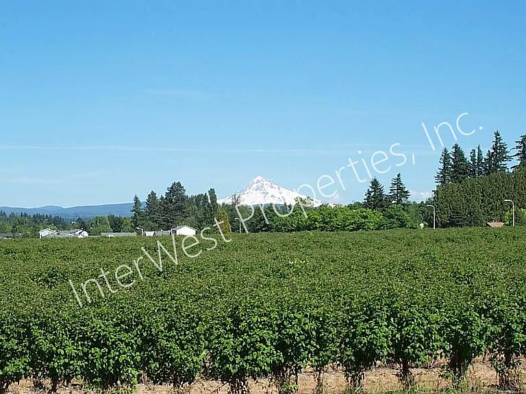 3025 S Troutdale Rd — Photo 3