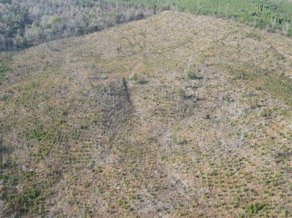 0 Polk County Rd #472, Gillham, AR 71841