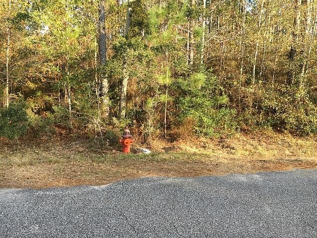 2nd image of 2720 Burlwood Dr