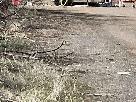 4th image of 4030 Gray Hills Rd