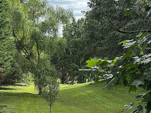 Front yard