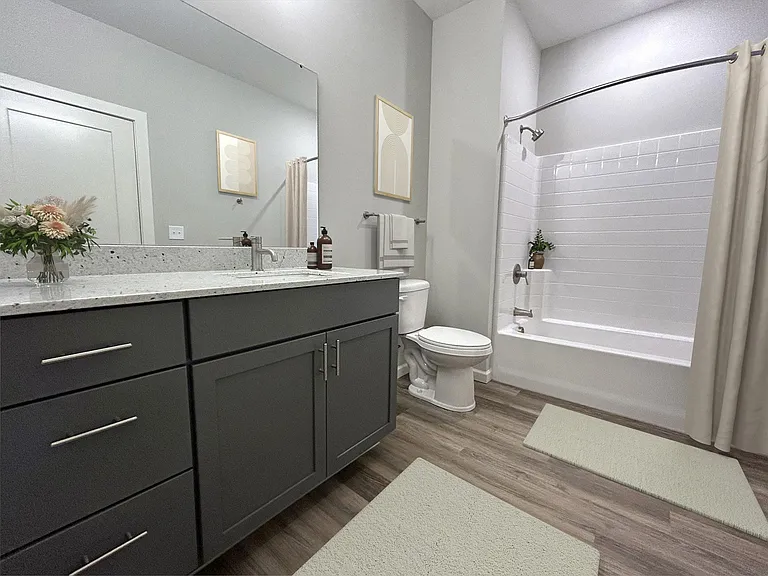 Bathroom and Tub