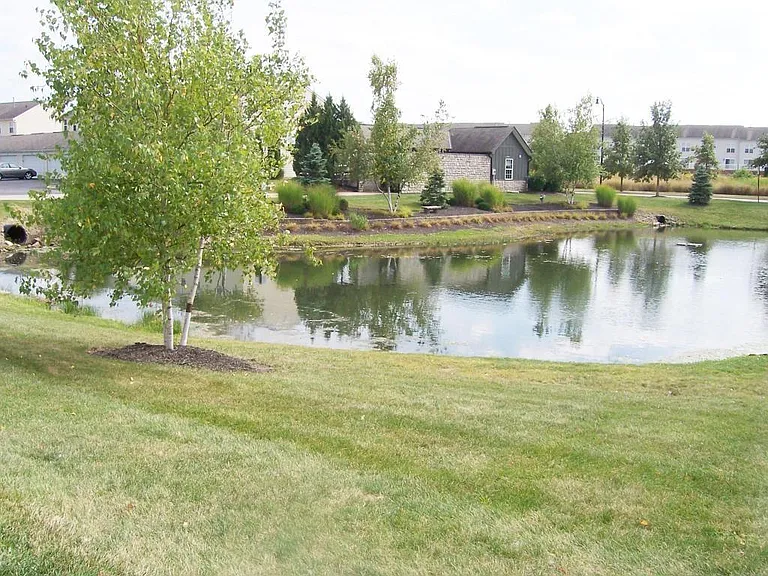 Ponds near the mailbox