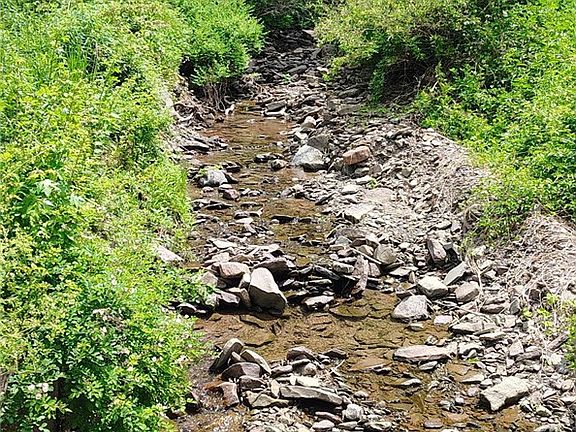 3rd image of 116 Fisk Hill Rd